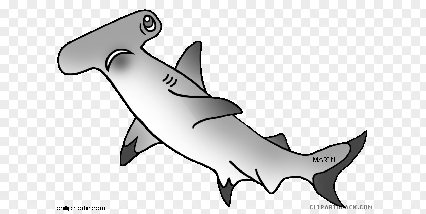 Shark Great White Clip Art Hammerhead Shortfin Mako PNG