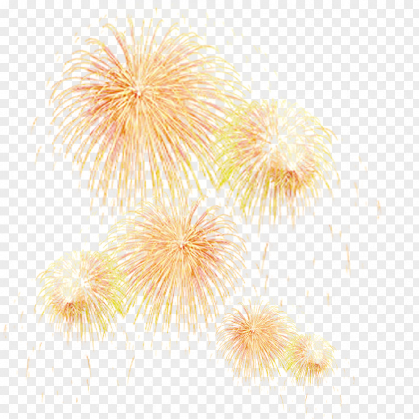 Fireworks Effect Adobe Firecracker PNG