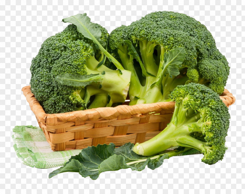 Fresh Fruits And Vegetables,broccoli Broccoli Cauliflower Cabbage Rutabaga Vegetable PNG