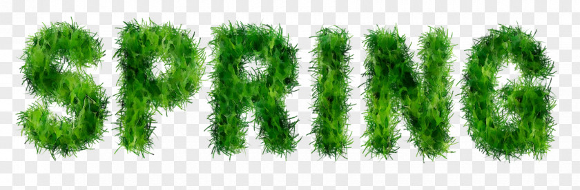 Green Font Line Biome Grasses PNG