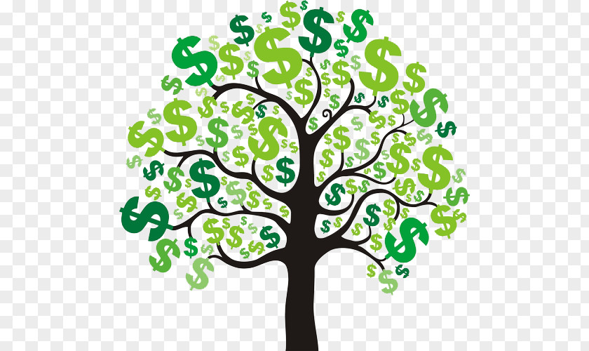 Money Tree The Resource Guide To Making Finance Tax KiwiSaver PNG