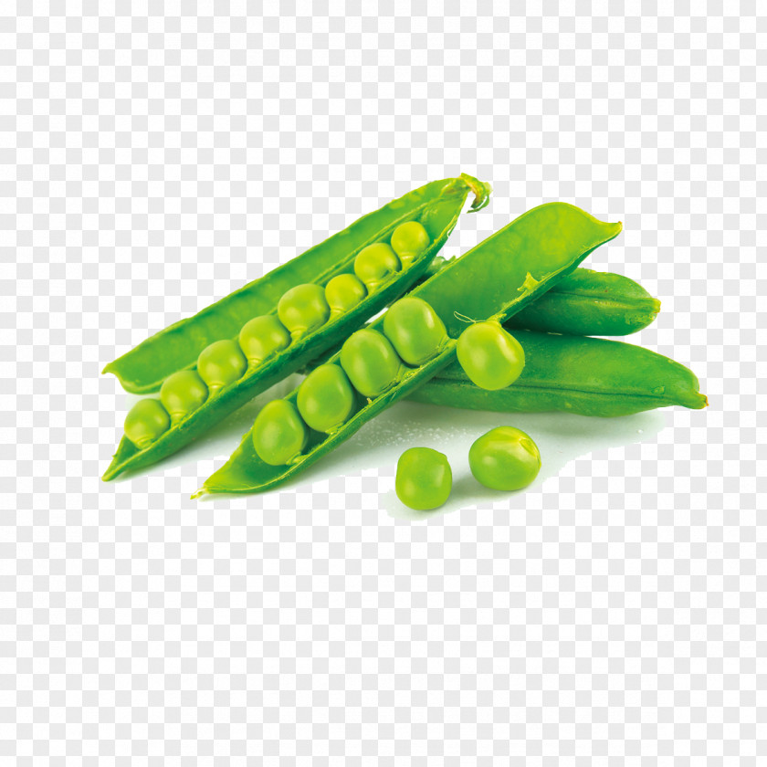 Pea Snap Dietary Supplement Protein Bean PNG