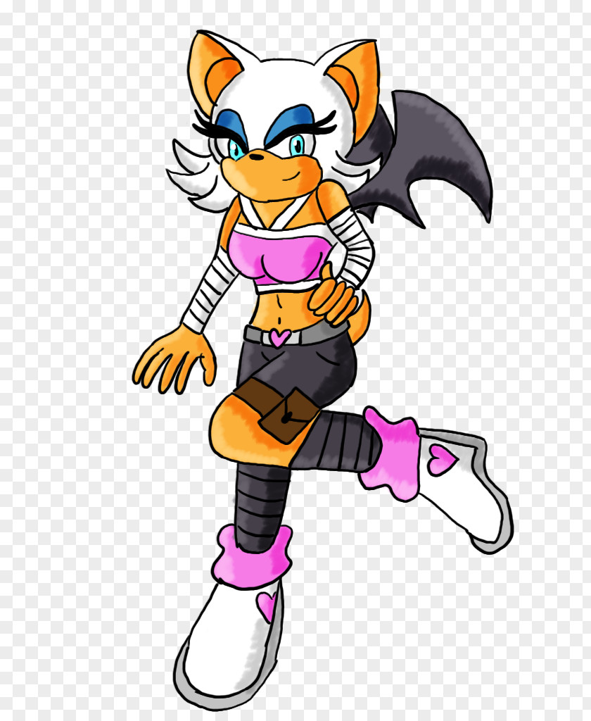 Rouge The Bat Shadow Hedgehog Sonic Boom Colors Silver PNG