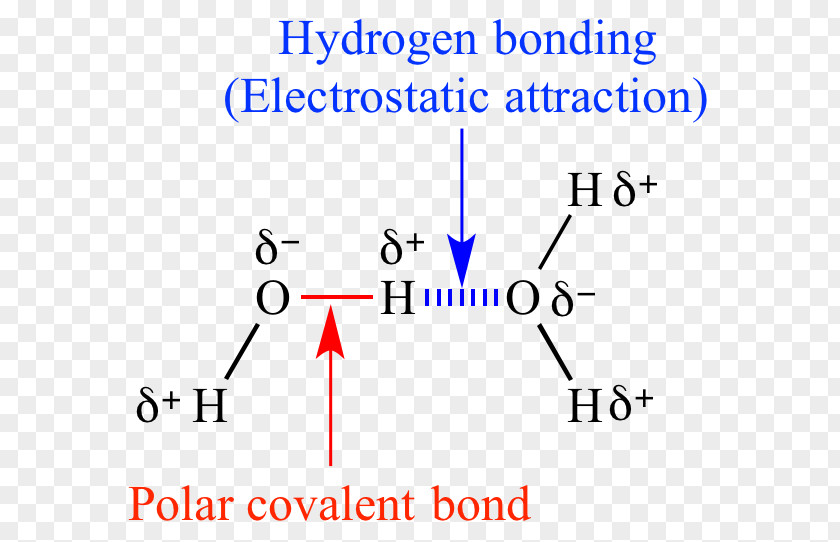 Chemical Polarity Organic Chemistry Molecule Covalent Bond PNG