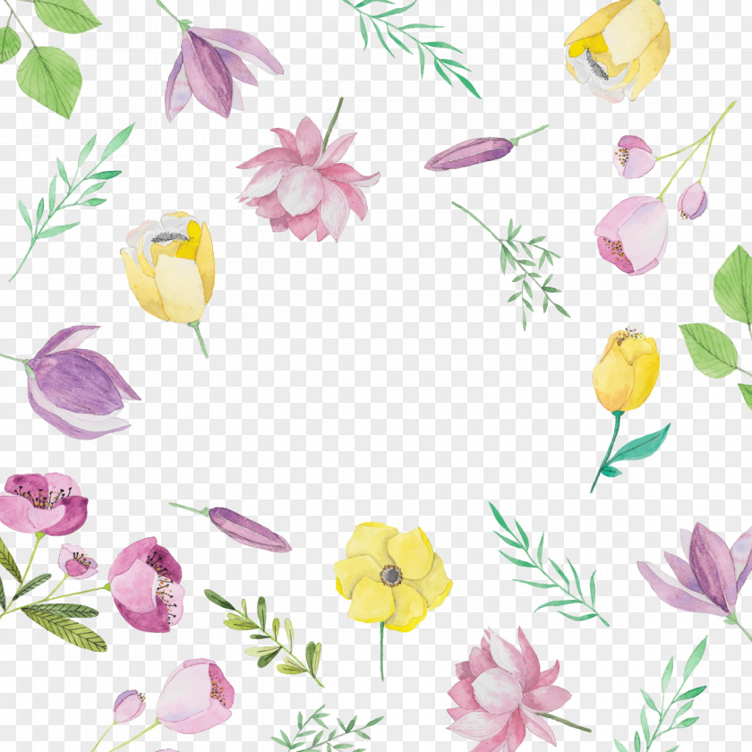 Vector Lotus Background Flower Bouquet Drawing PNG