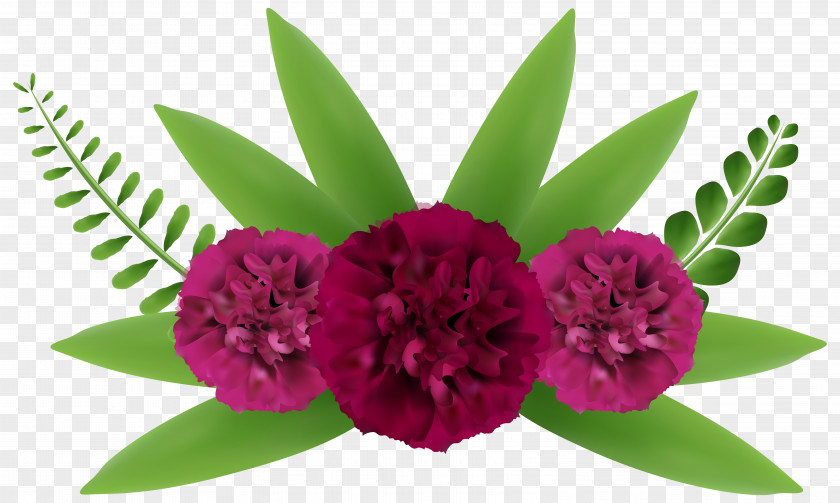 Beautiful Plant Cliparts Flower Beauty Clip Art PNG