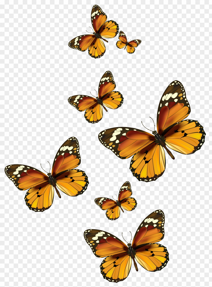 Disco Ball Monarch Butterfly Clip Art PNG