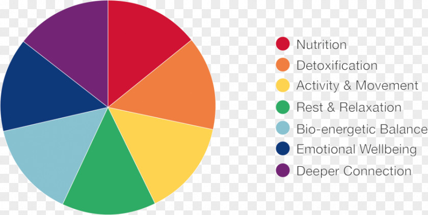 Pie Chart Nutrition Nutrient Healthy Diet PNG