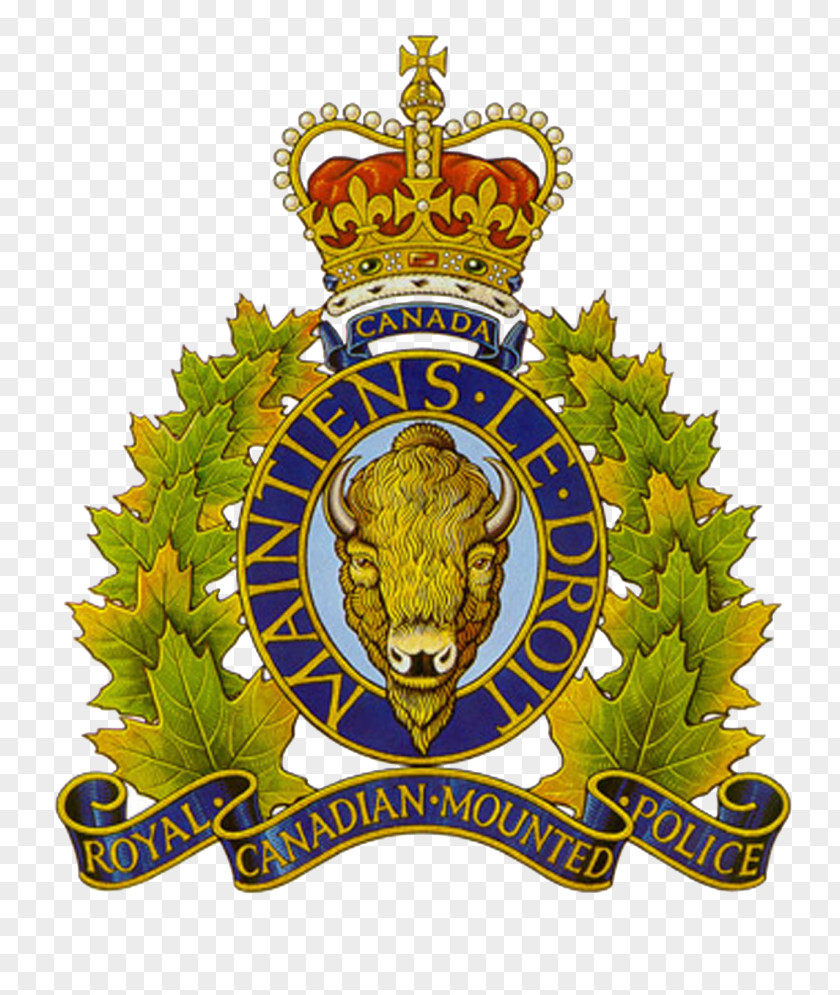 Police Royal Canadian Mounted (RCMP) Board Of Commissioners Meeting Law Enforcement PNG