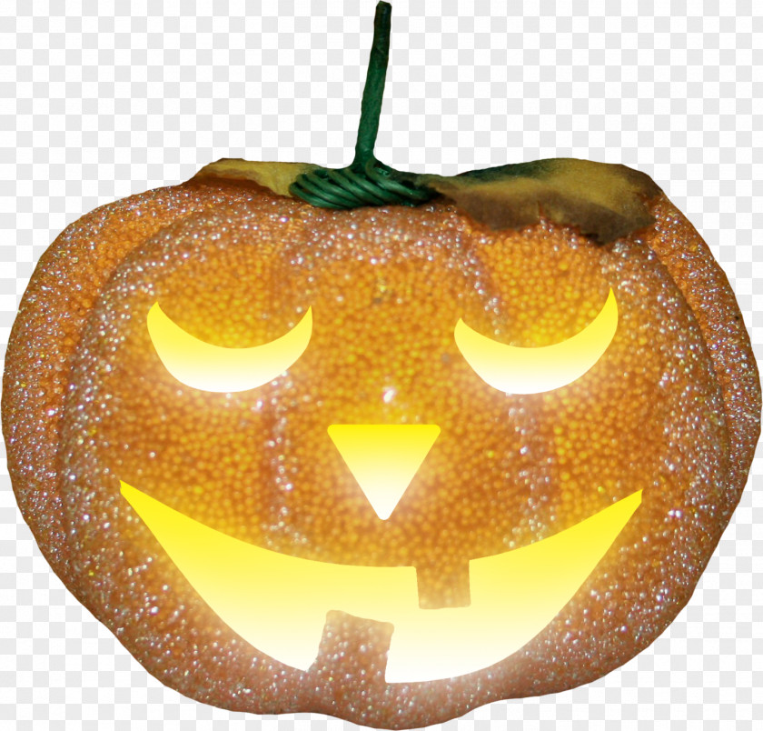 Pumpkin Jack-o'-lantern Halloween Winter Squash PNG