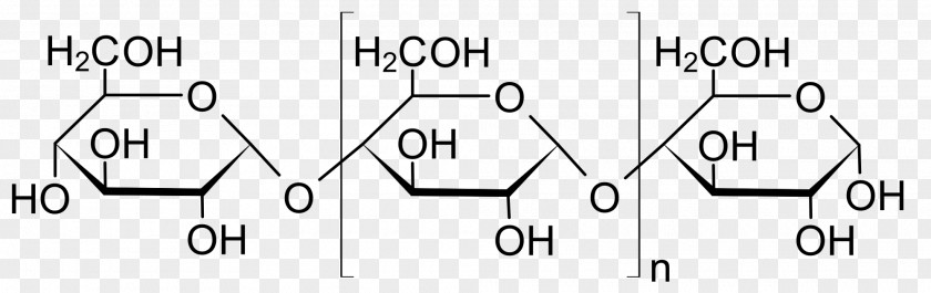 Sugar Amylose Starch Amylopectin Polysaccharide Carbohydrate PNG