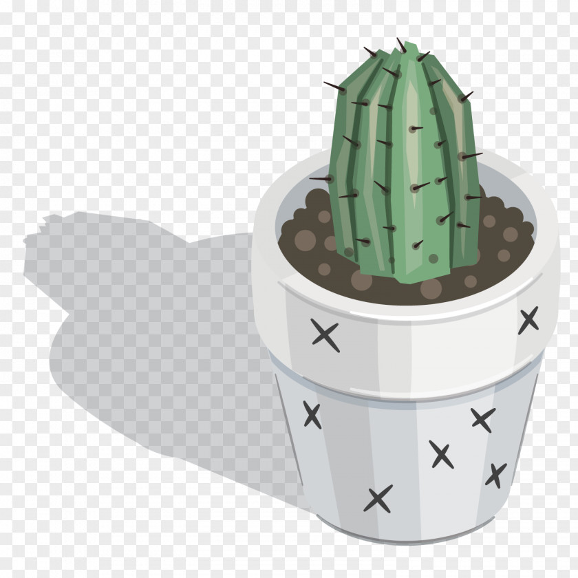 Vector Round Cactus Cactaceae Plant Download PNG