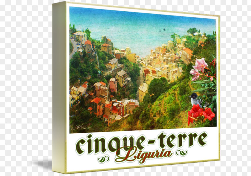 Italy Watercolor Canvas Art Imagekind Gallery Wrap Cinque Terre PNG