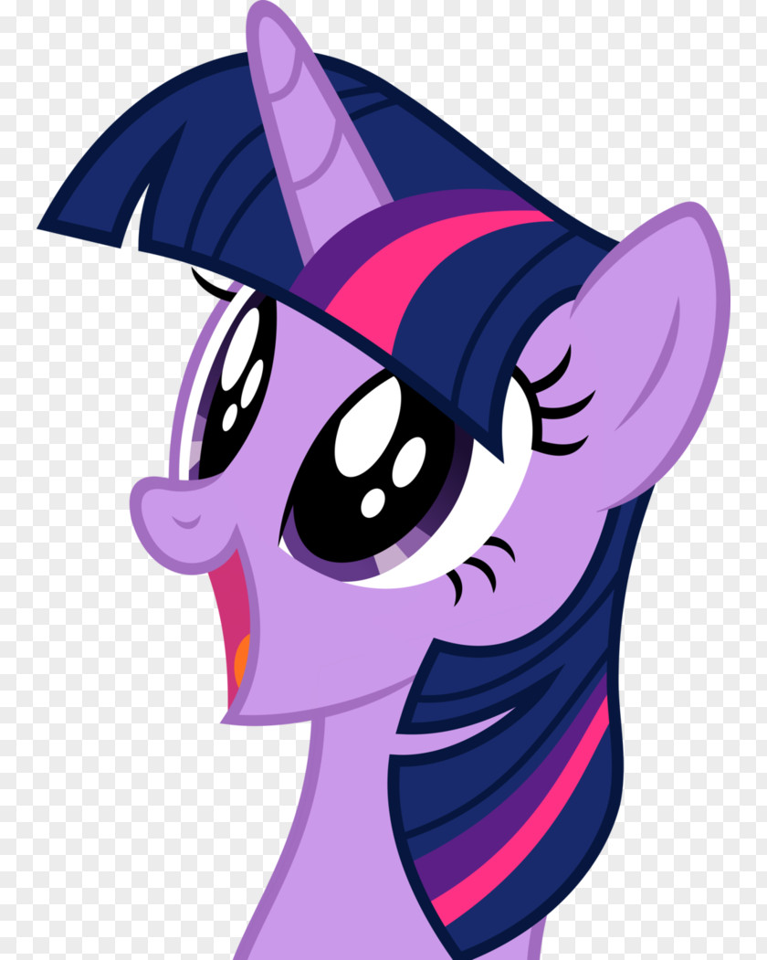 My Little Pony Twilight Sparkle Rarity Rainbow Dash Princess Celestia PNG