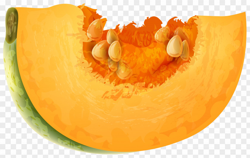 Pumpkin Free Clip Art Image Calabaza Vegetarian Cuisine Winter Squash PNG