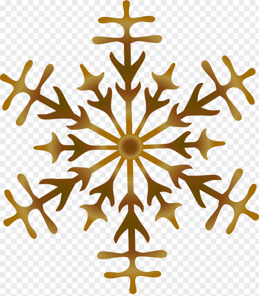 Snowflakes Galleria Umberto I Salone Margherita Dome Stock Photography PNG