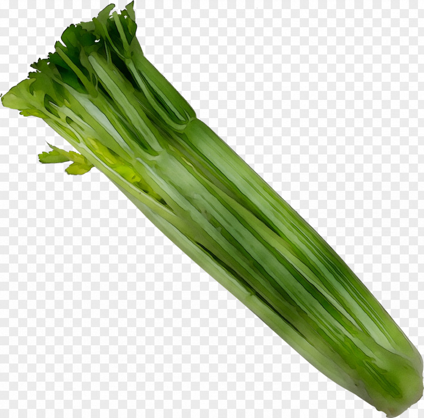 Welsh Onion Komatsuna Choy Sum Celery Onions PNG