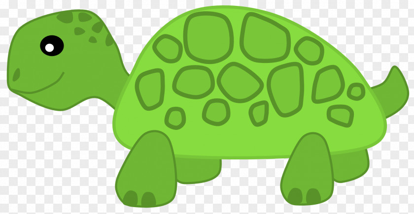 Cute Turtle Transparent Image Herbivore Clip Art PNG