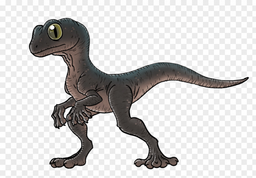 Gecko Velociraptor Tyrannosaurus Terrestrial Animal PNG