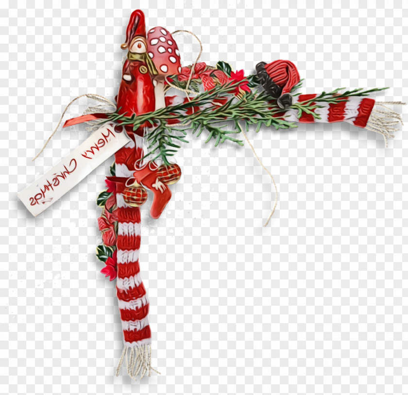 Holiday Plant Candy Cane PNG