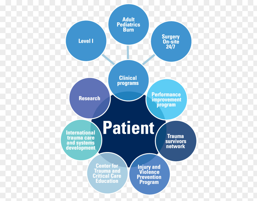 Organizational Chart VCU Medical Center Trauma Emergency Department PNG