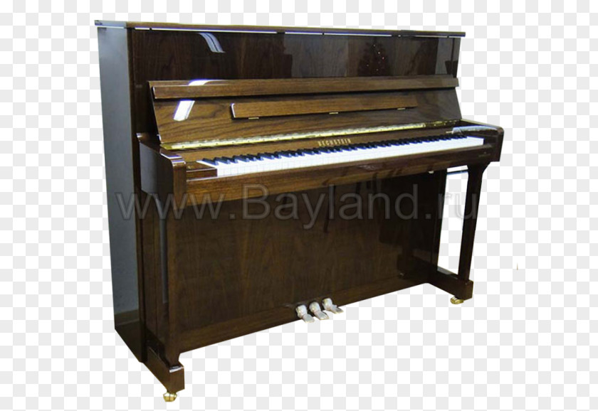 Piano Electric Digital Player Fortepiano PNG