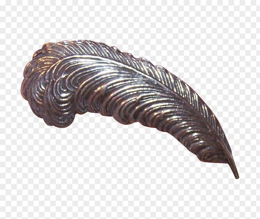 Pin Brooch Sterling Silver Feather PNG