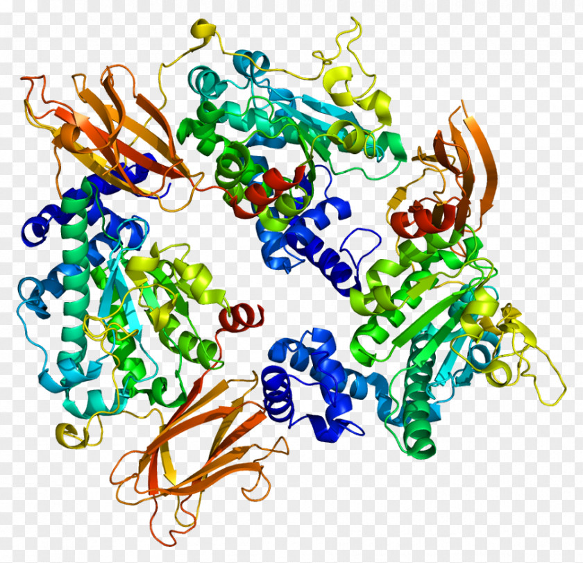 SEC14L2 Protein Gene Function PNG