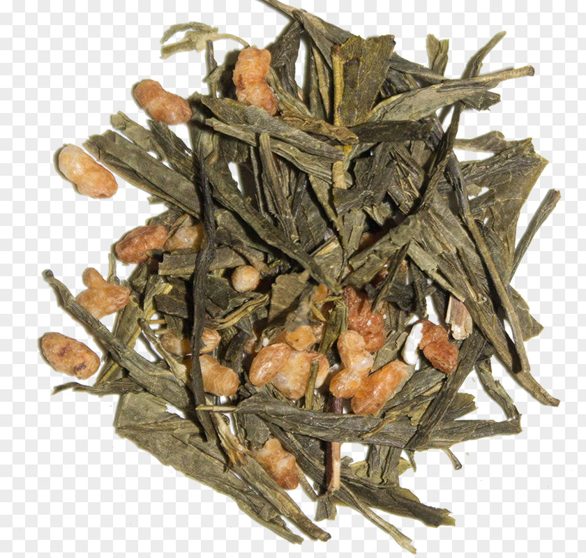 Staple Rice Nilgiri Tea Hōjicha Ingredient Plant PNG