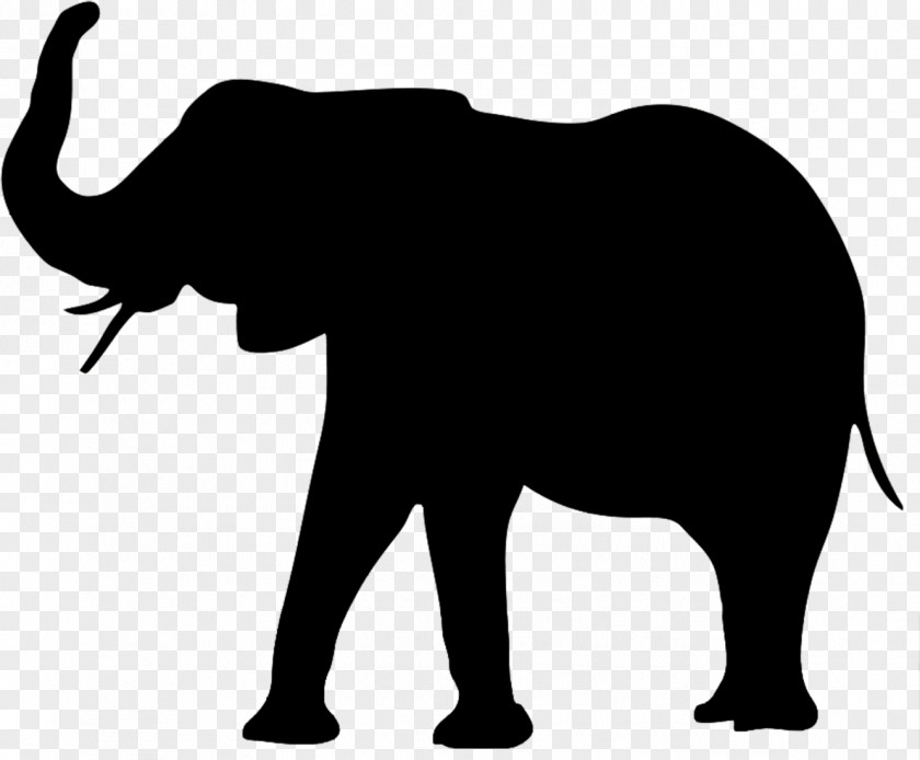 Temple Tail Elephant Background PNG