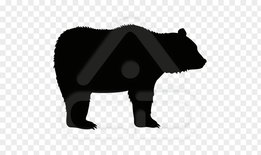 Bear American Black Grizzly PNG