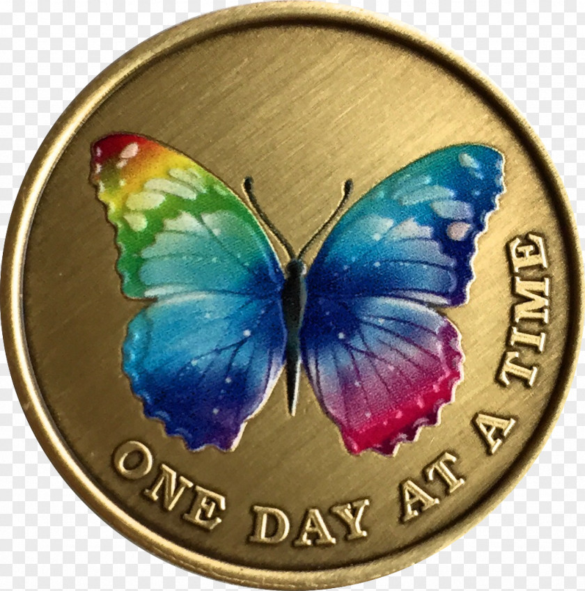 Butterfly Nymphalidae Sobriety Coin Rainbow Serenity Prayer PNG