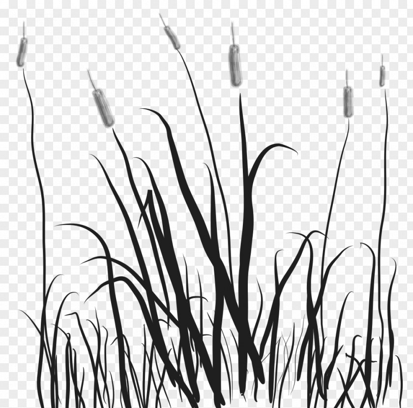 Marsh Cattail Clip Art PNG