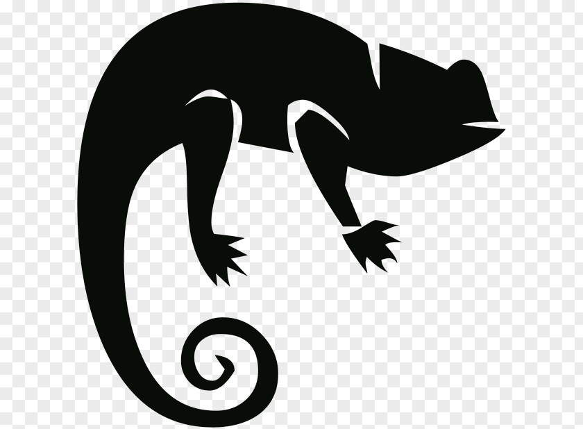 Lizard Silhouette Claw Reptile Tail PNG