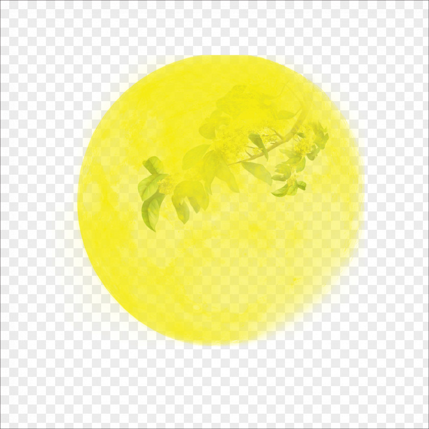Moon Yellow Circle Fruit Pattern PNG