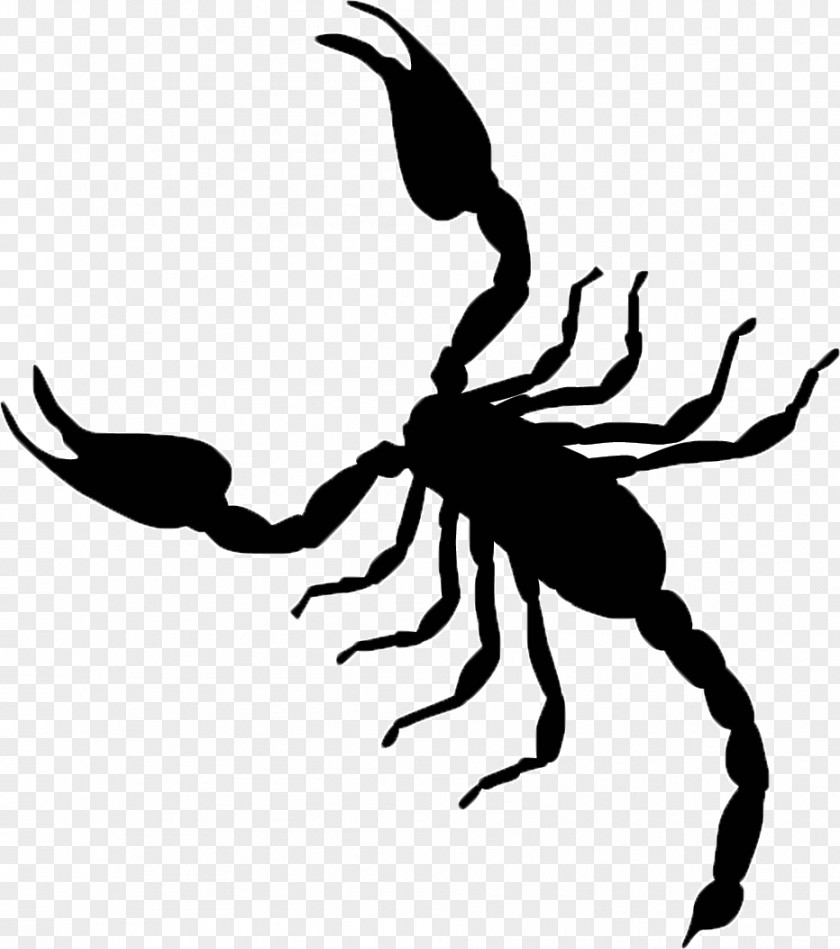 Scorpion Vector Graphics Clip Art Illustration Image PNG