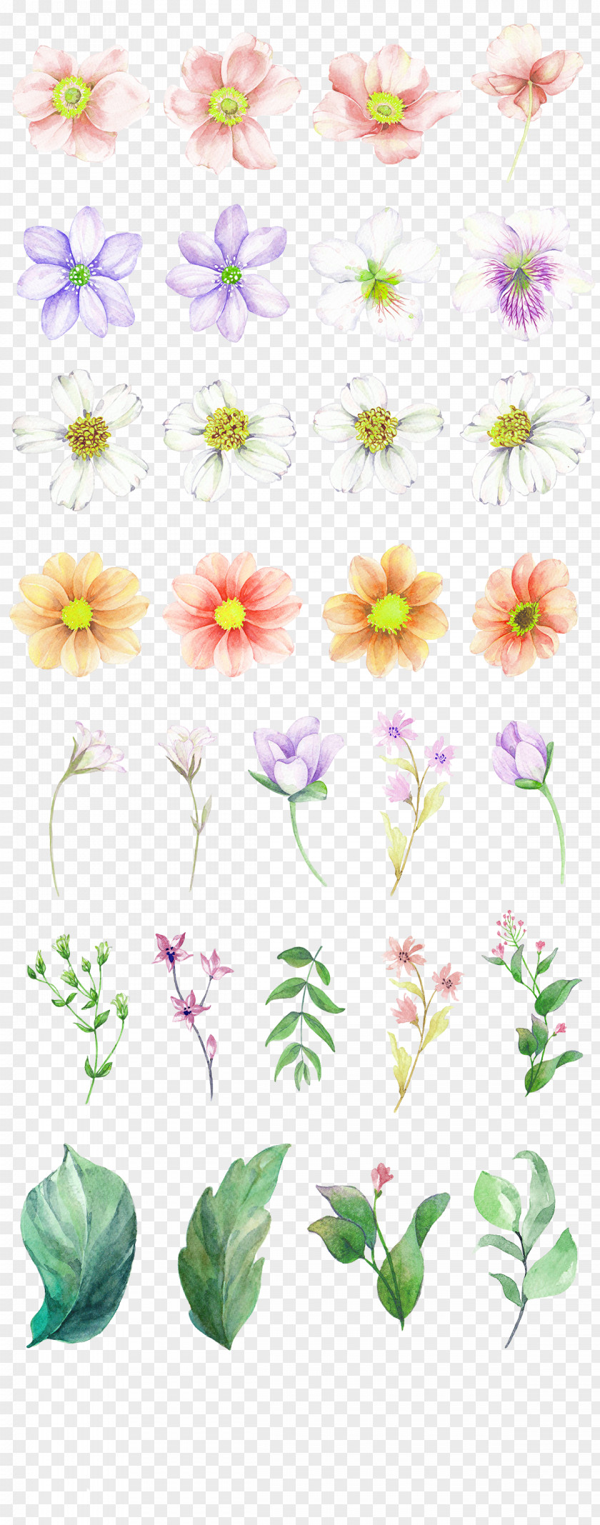 White Dream Garden Flowers Decorative Patterns Watercolor Painting Drawing Download PNG