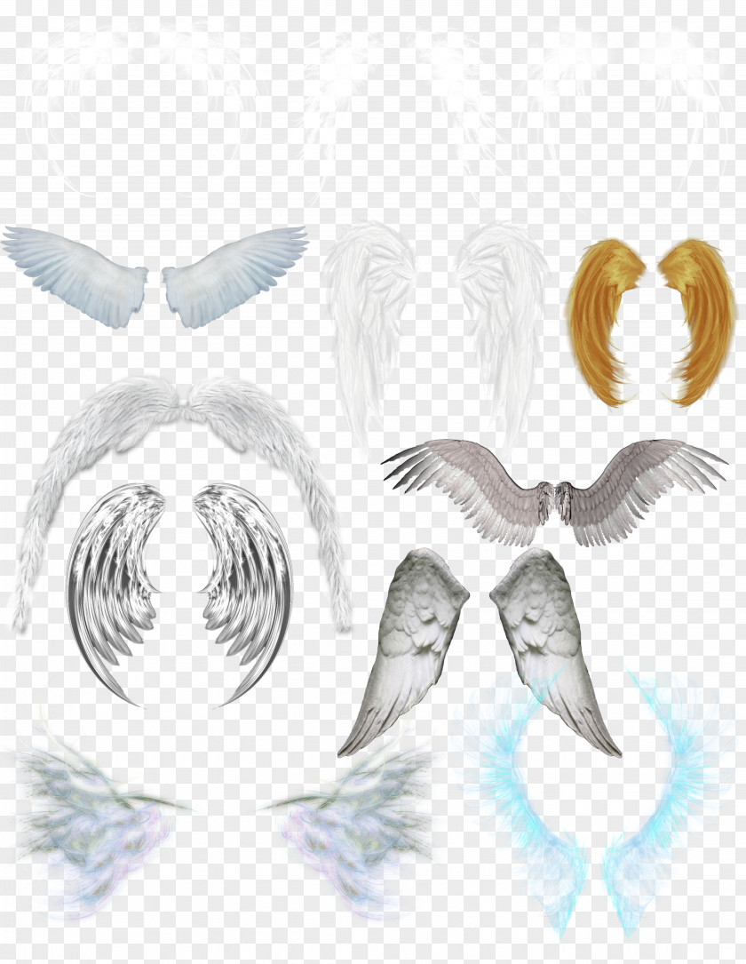 Wings Ornament Wing Computer File PNG