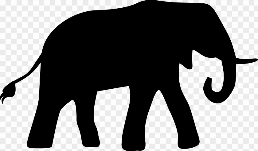 African Elephant Mammal Indian Cat Horse PNG