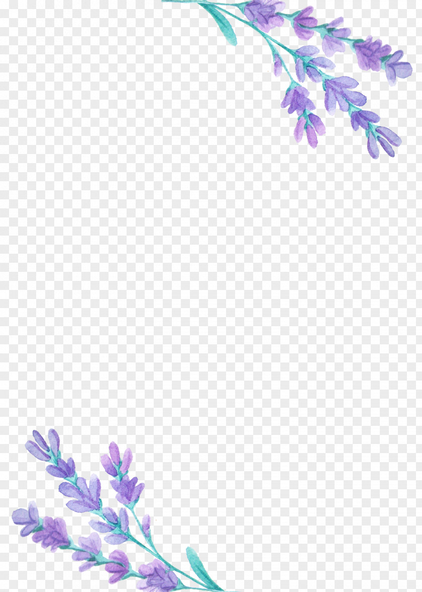 Beautiful Lavender Icon PNG