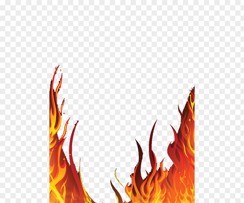 Flame Icon Design Logo PNG