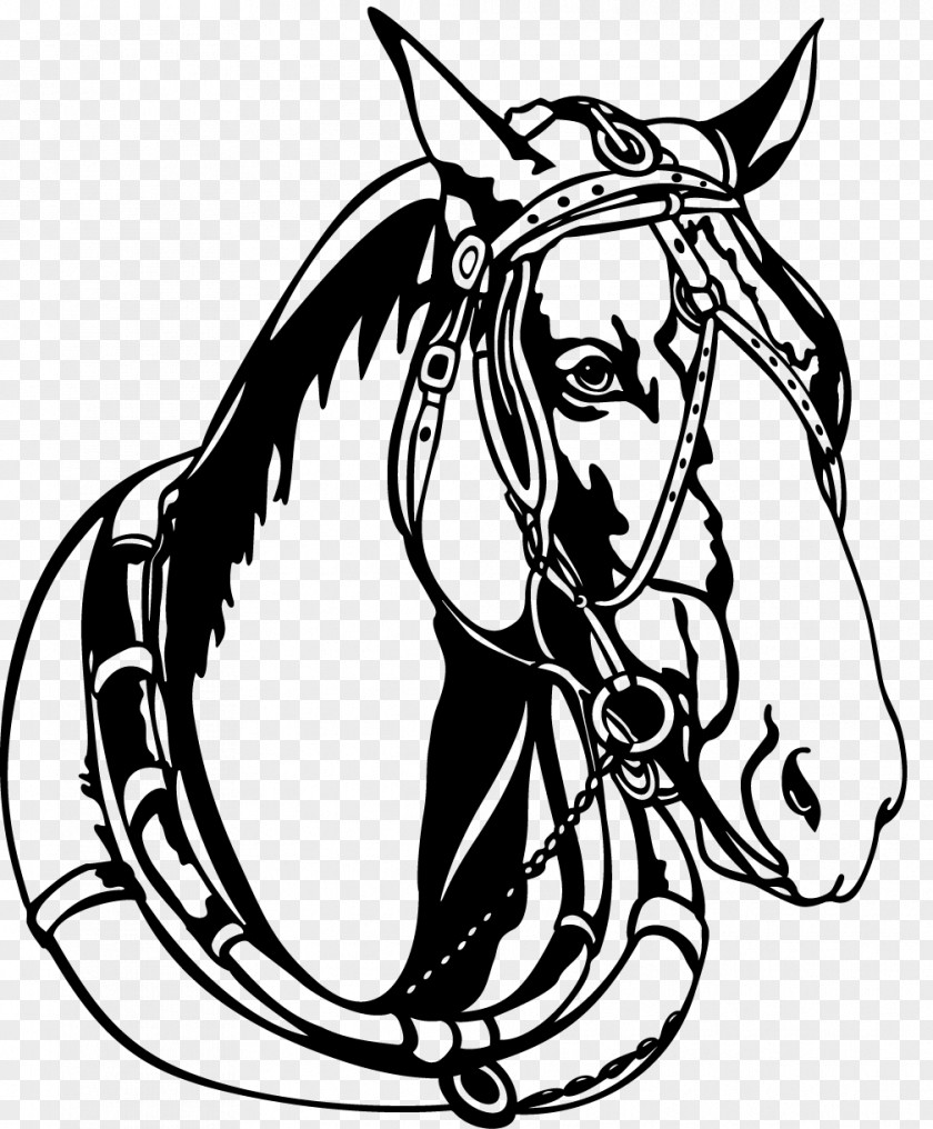Horse Mare Equestrian Clip Art PNG