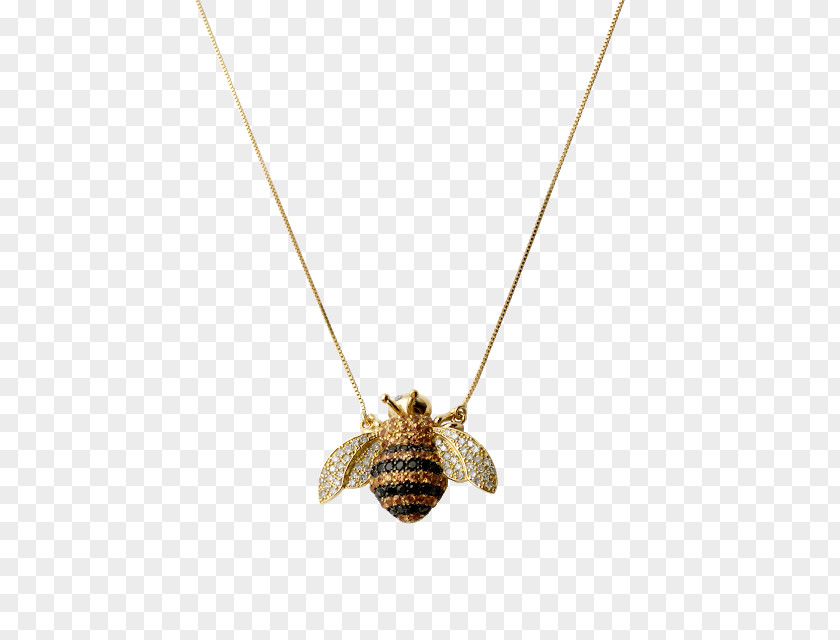 Insect Locket Necklace PNG