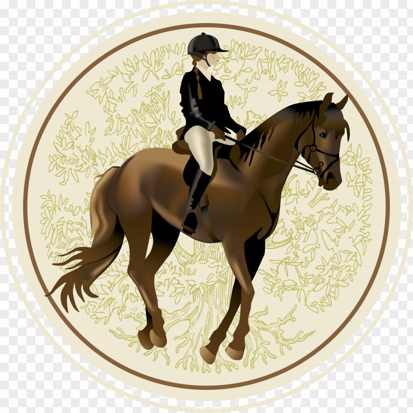 Knight Horse Equestrianism Illustration PNG