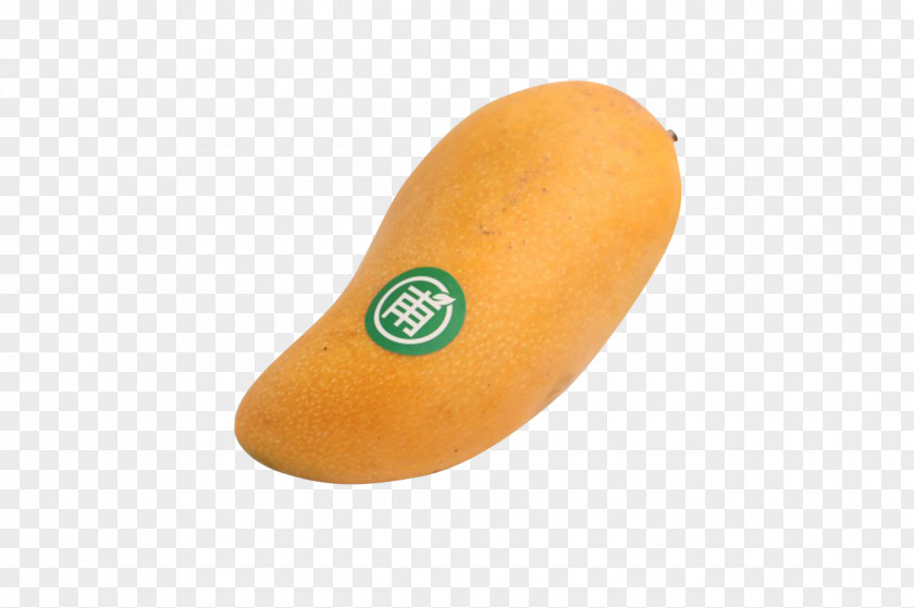 Mango Designer PNG