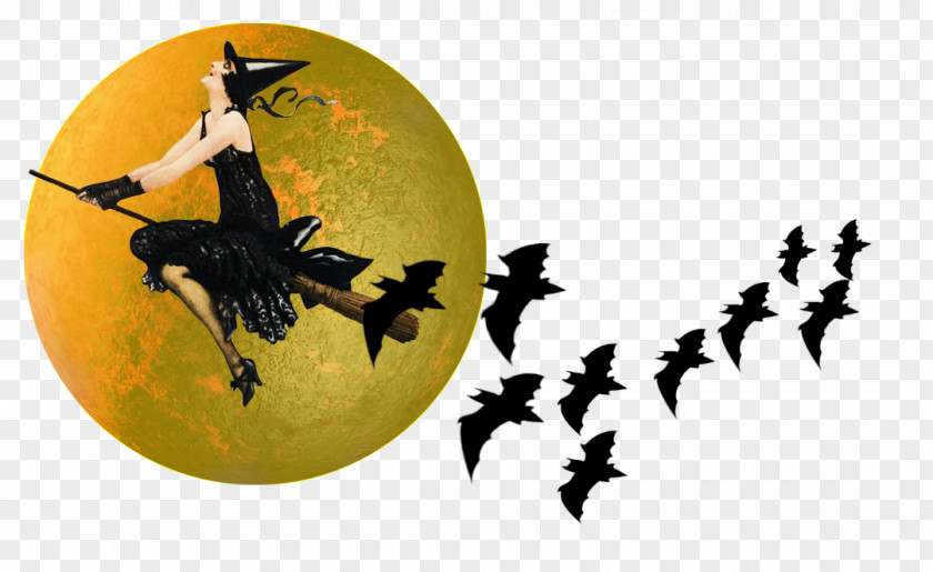 Moon Border Wicked Witch Of The West Witchcraft Broom Clip Art PNG