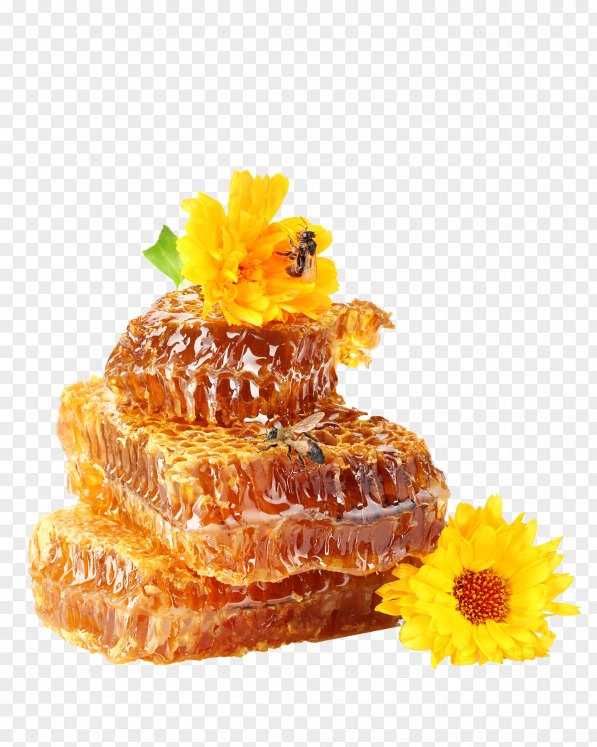 Bee Western Honey Beehive Beekeeping PNG