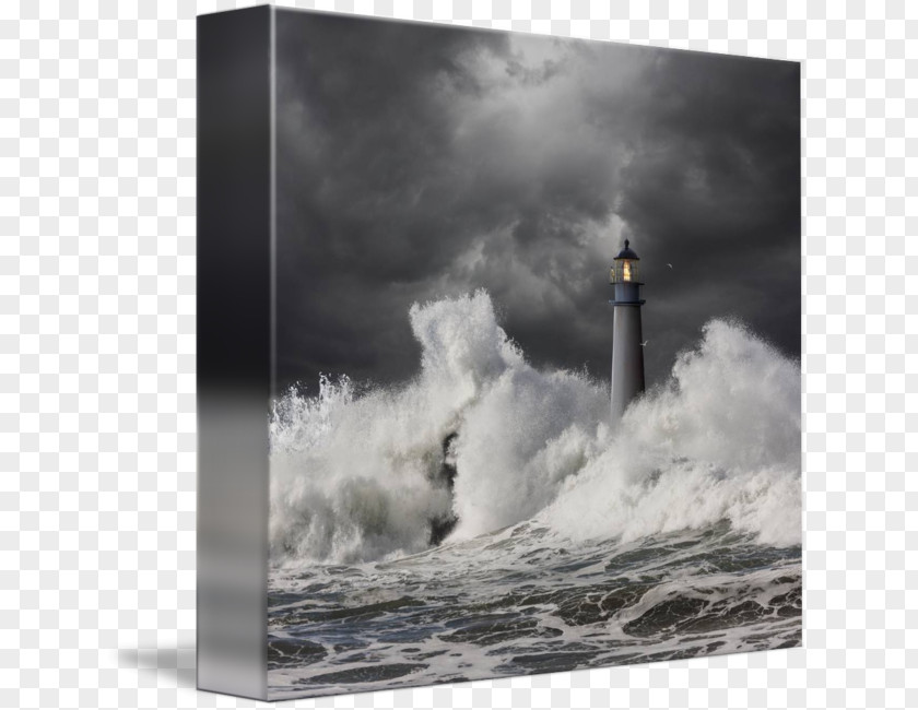 Book Die Zeit Heilt Keine Wunden: Krimi Paperback Gallery Wrap Canvas PNG