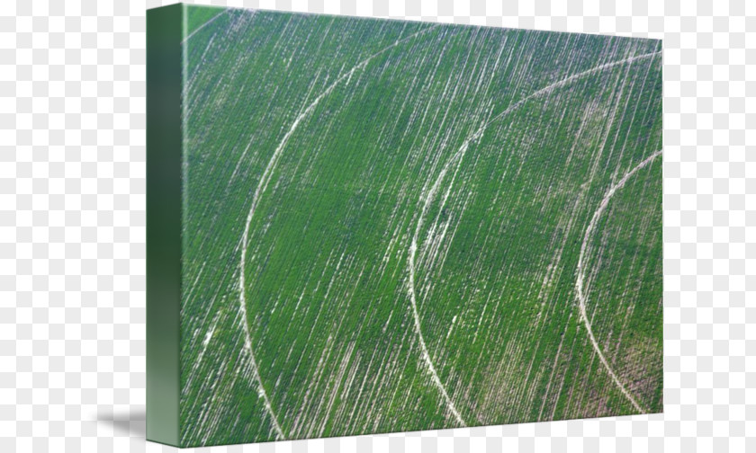 Crop Circle Green Biome Pattern PNG