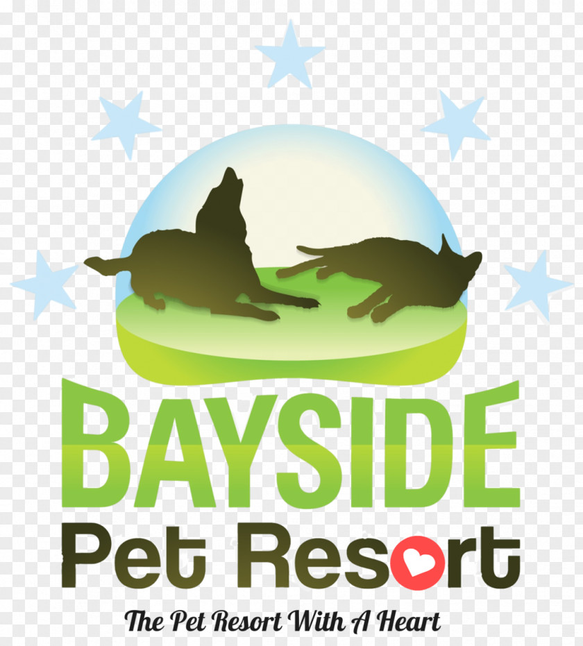 Dog Sarasota Bayside Pet Resort Sitting Cat PNG